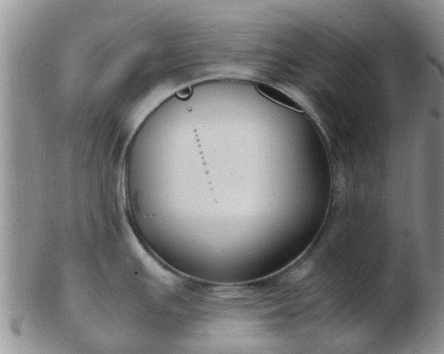 X0000103311391200809122042