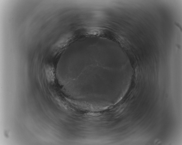 X0000103311394200809122041