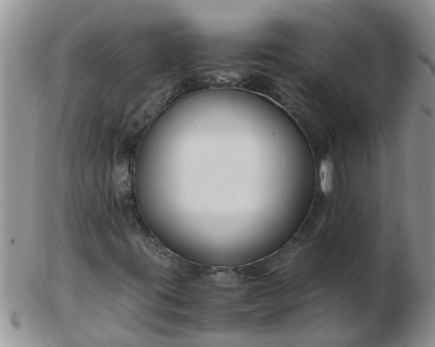 X0000103311395200809122041