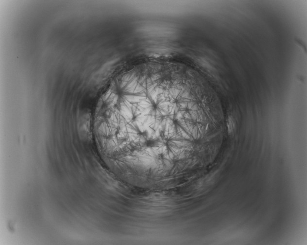 X0000103311396200809122041