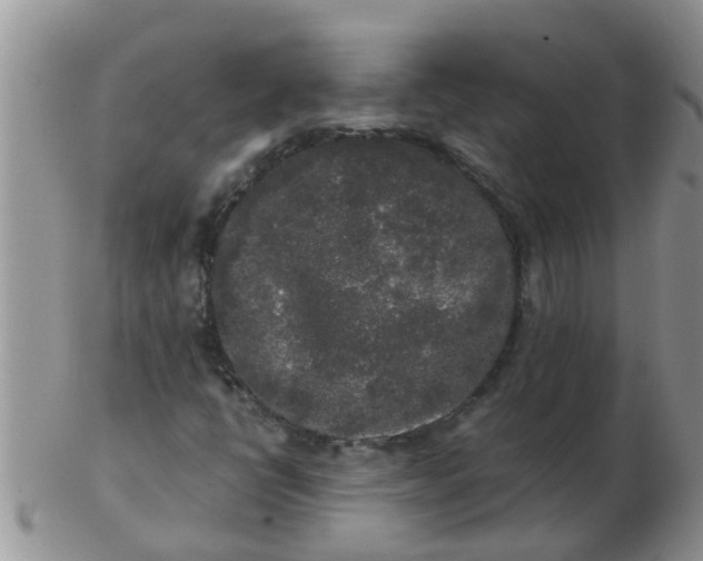 X0000103311398200809122041