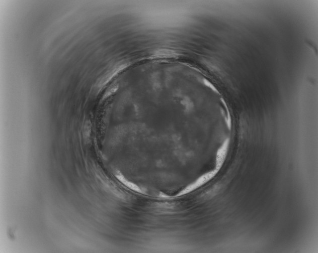 X0000103311401200809122041