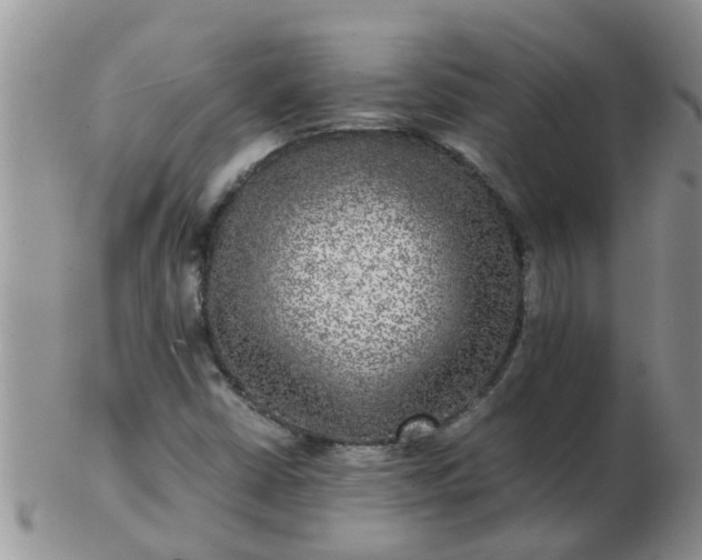 X0000103311402200809122041