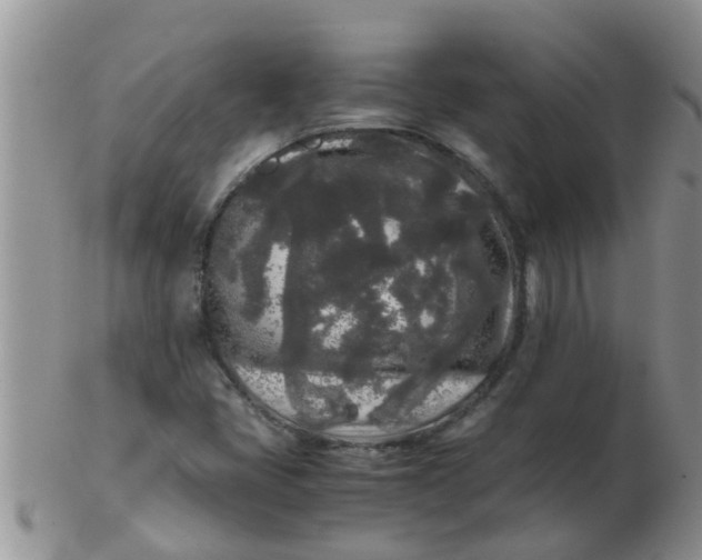 X0000103311405200809122041
