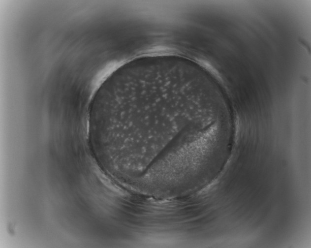 X0000103311413200809122042