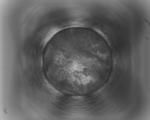 X0000103311415200809122042