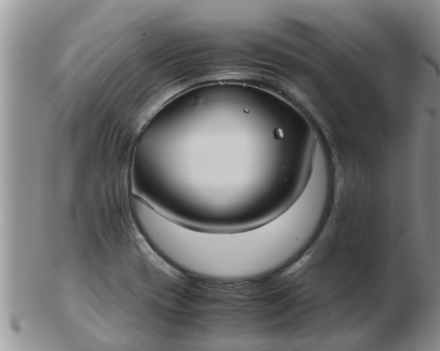 X0000103311417200809122042