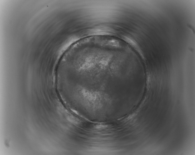 X0000103311419200809122042
