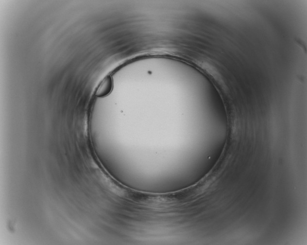X0000103311420200809122042