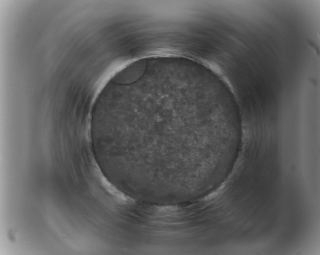 X0000103311421200809122042