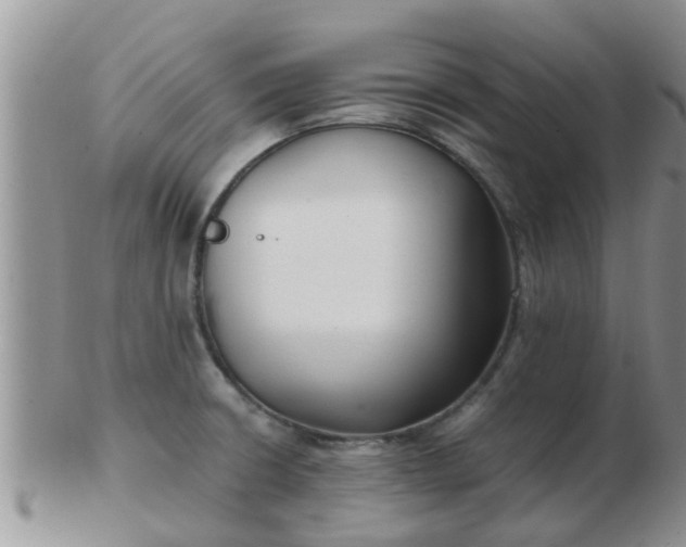 X0000103311426200809122042