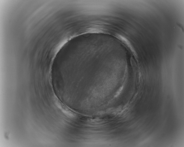 X0000103311427200809122042