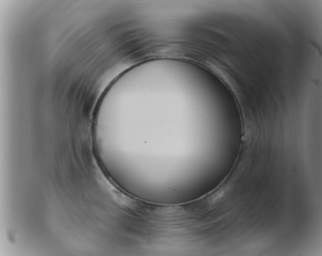 X0000103311434200809122042