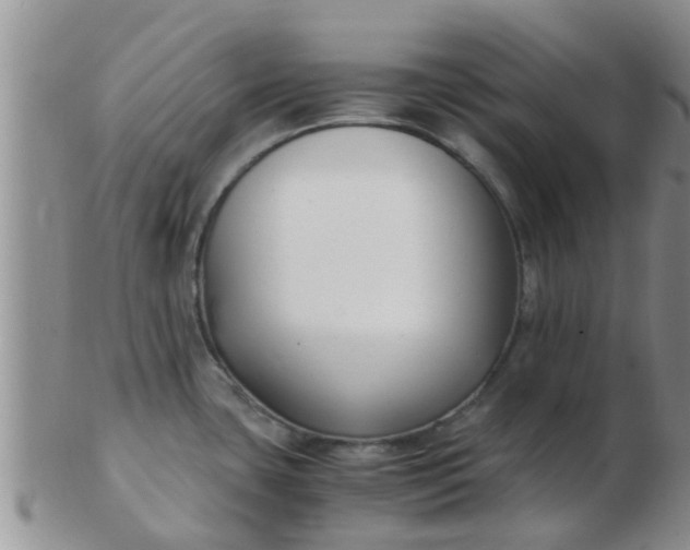 X0000103311435200809122042