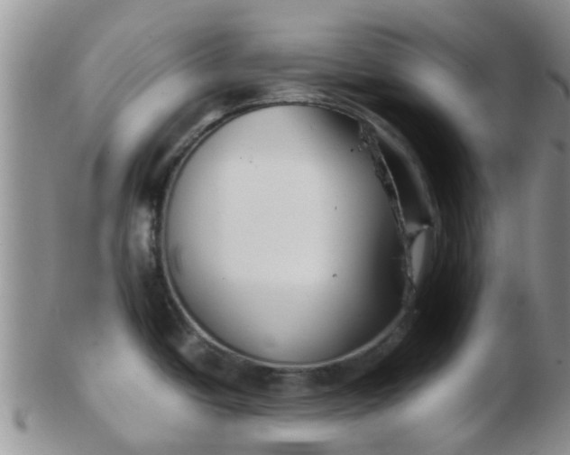 X0000103311438200809122042