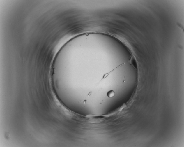 X0000103311440200809122042