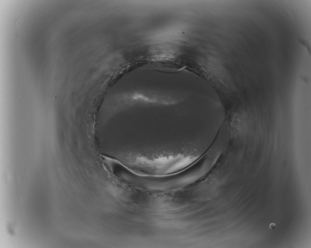 X0000103311441200809122041