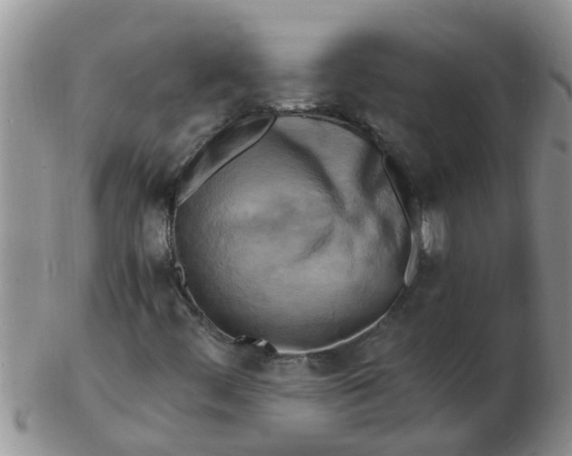 X0000103311444200809122041