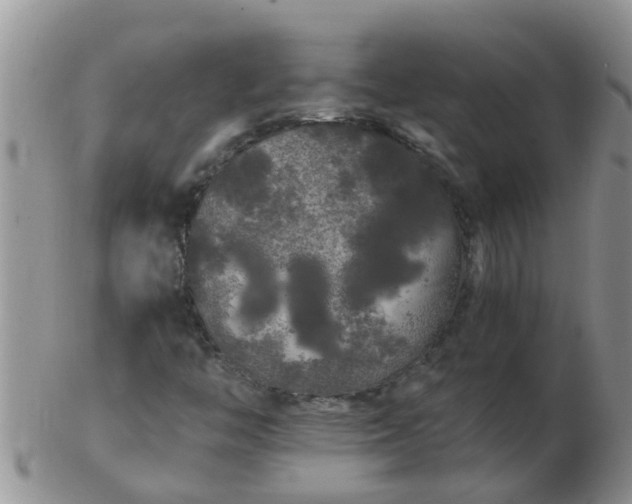 X0000103311446200809122041