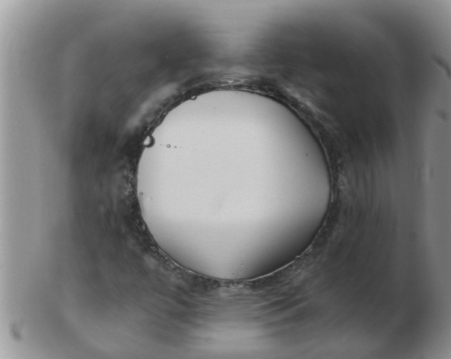 X0000103311447200809122041