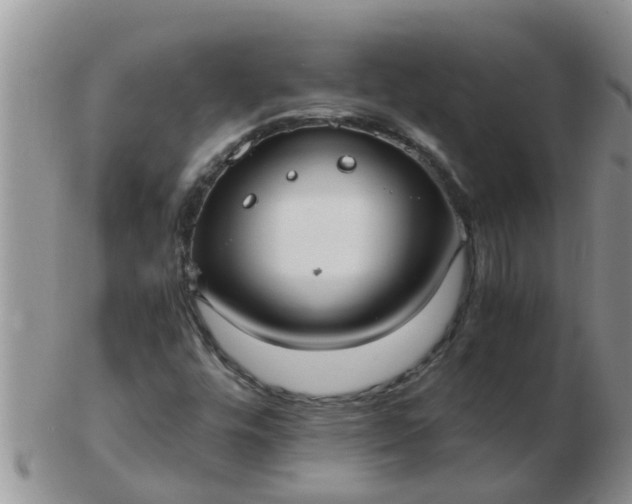 X0000103311448200809122041