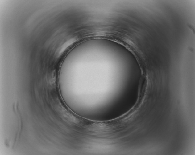 X0000103311450200809122041