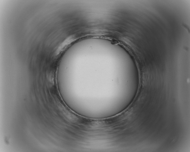 X0000103311451200809122041