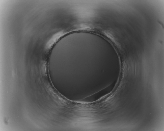 X0000103311455200809122041