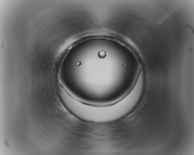 X0000103311456200809122041