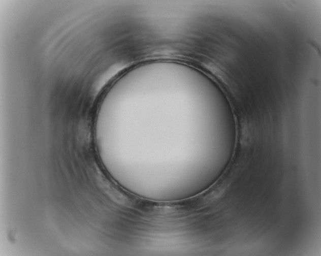 X0000103311458200809122041