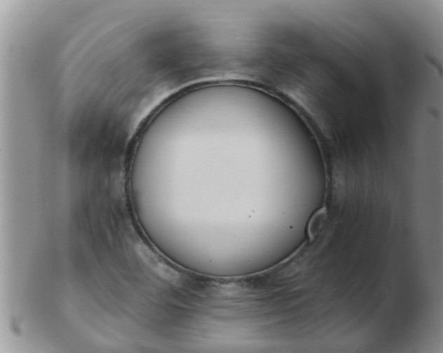 X0000103311460200809122041