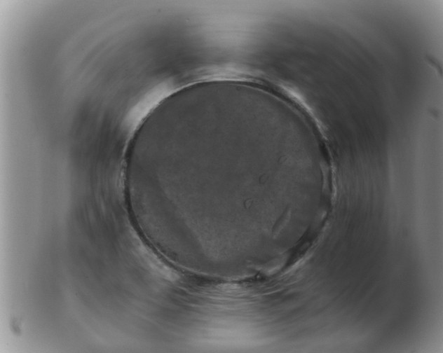 X0000103311463200809122041