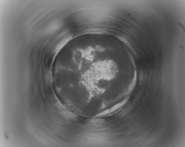 X0000103311466200809122041
