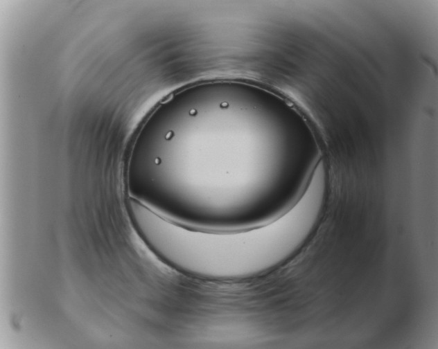 X0000103311468200809122041