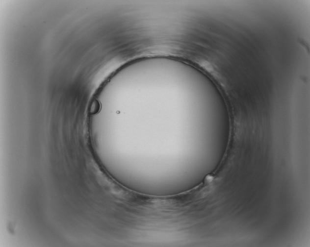 X0000103311469200809122041