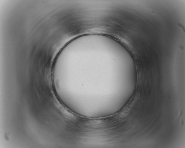 X0000103311470200809122041