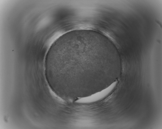 X0000103311471200809122041