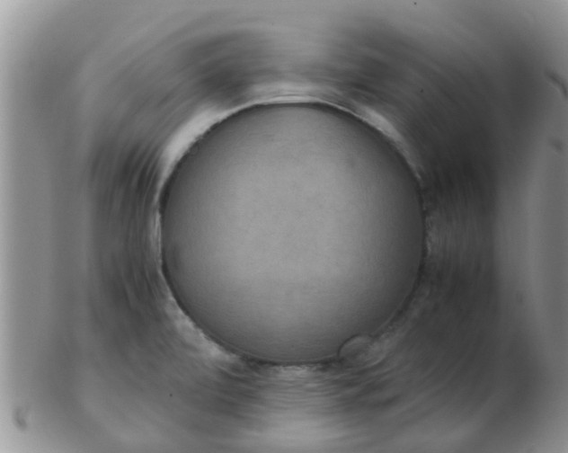 X0000103311472200809122041