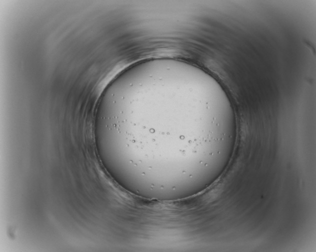 X0000103311473200809122041