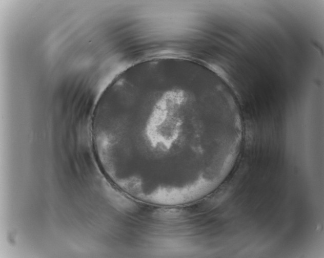 X0000103311474200809122041