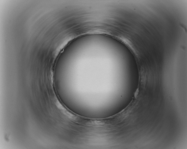 X0000103311476200809122041