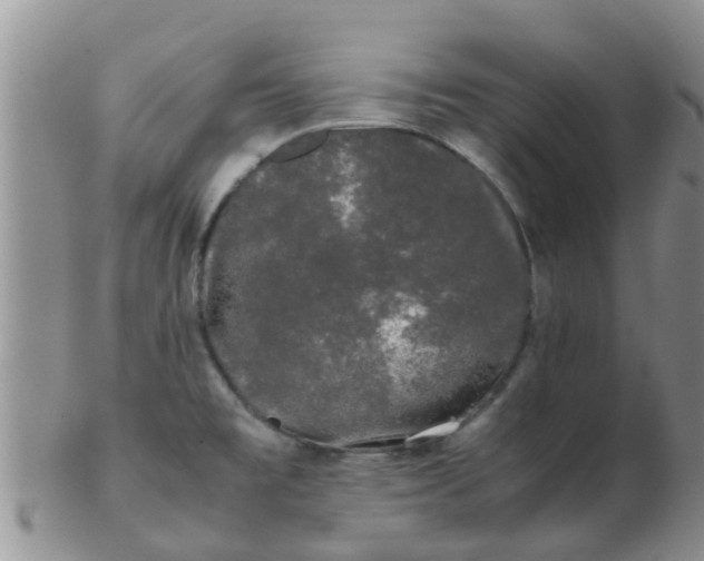 X0000103311477200809122041