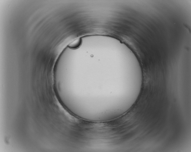 X0000103311479200809122041