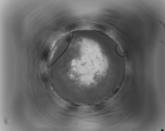 X0000103311481200809122041