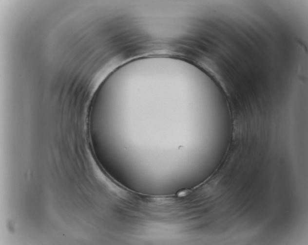 X0000103311483200809122040