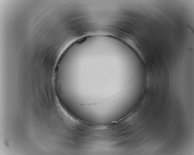 X0000103311484200809122040