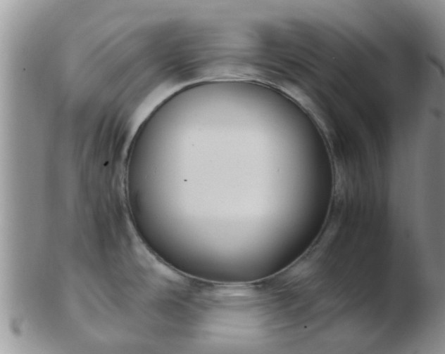X0000103311486200809122040