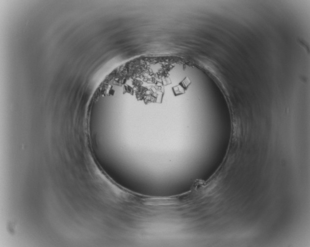 X0000103311487200809122040