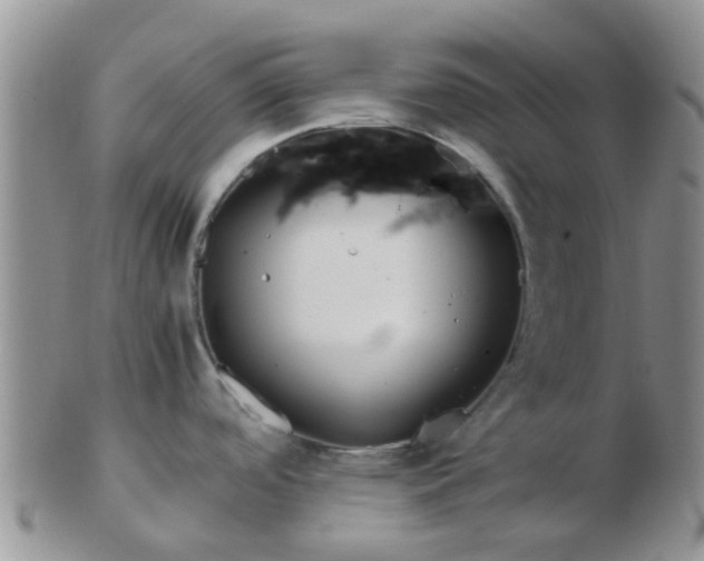 X0000103311488200809122040