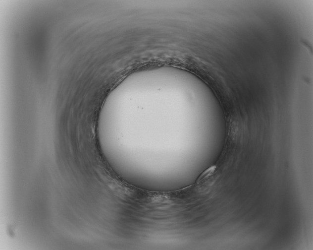 X0000103311489200809122040